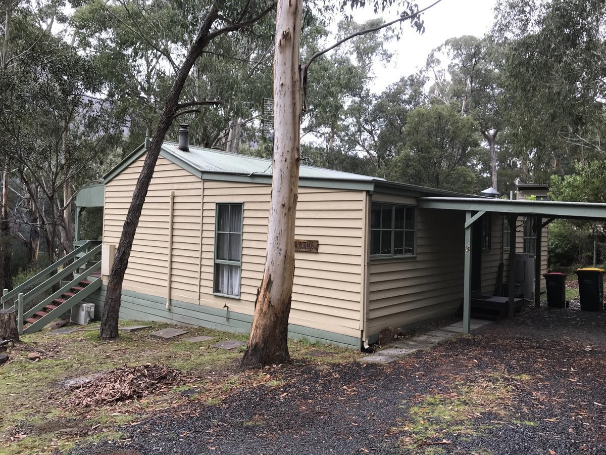 Day Dream Halls Gap